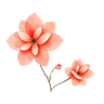 Kukka.AI logo